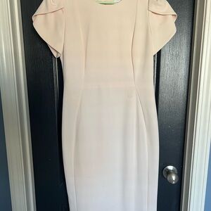 Calvin Klein Pink Sheath Dress with Flutter Cap Sleeves